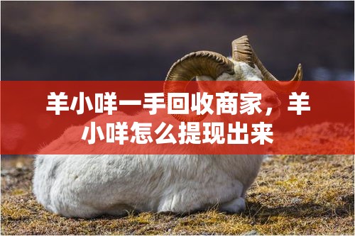 2025社保最新退休待遇排行榜,2025社保最新退休待遇排行榜是多少