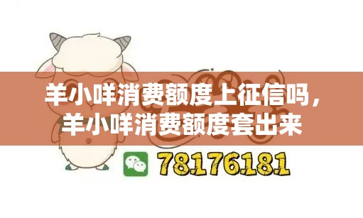 大白瓶 大蓝瓶，2025大白瓶排行榜